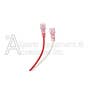 101901-01 Secondary Power Lead red and White