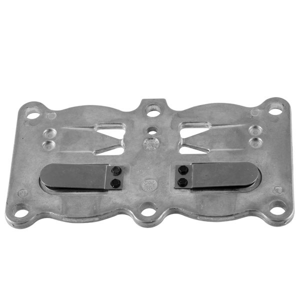 Z-CAC-4212-1 ASSY VALVE PLATE