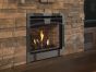 ASTRIA DIRECT VENT GAS FIREPLACE