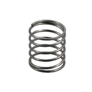 Valve spring