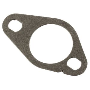 Intake gasket