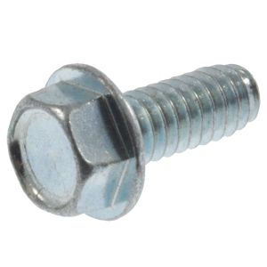 Screw