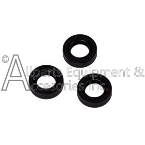 Pressure washer oil seal kit