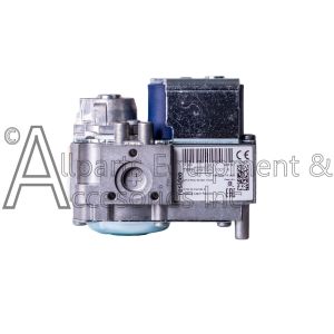 60306 natural gas gas valve