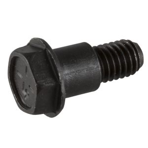 Screw