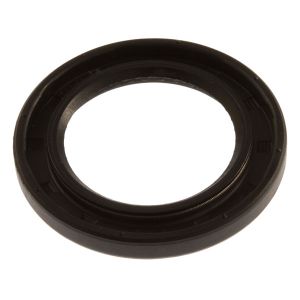 Oil seal