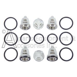 Valve Repair Kit AAA ZWD-K Pump by Comet Set of 6 Complete Valves