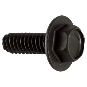 Screw for Fuel Tank - .250-20 X .750