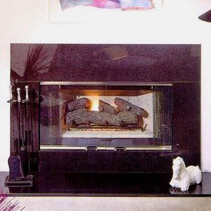 Presidential direct vent fireplace