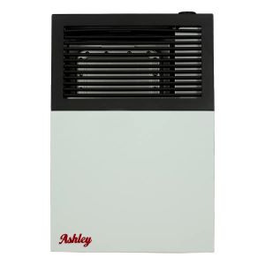 Direct Vent 8,000 BTU Natural Gas Wall-Mounted Heater