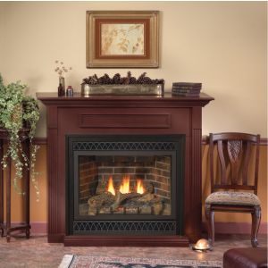 DVD-Fireplace Tahoe Series Direct Vent Deluxe fireplace by Empire.