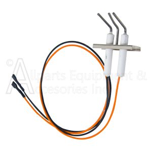 J6548 Astria Igniter and Flame Rod Assembly