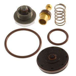 Regulator repair kit