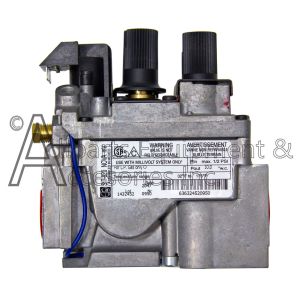 R3625 SIT Nova gas valve label with specifications