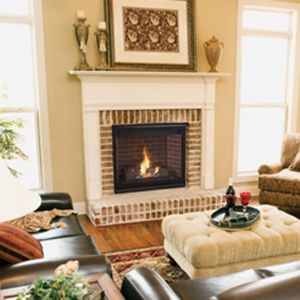 SLDVT series direct vent gas fireplace