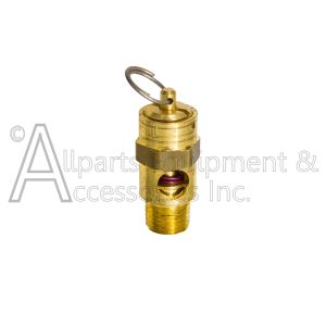 SAFETY VALVE SOFT SEAT 1/4MPT x 65 PSI