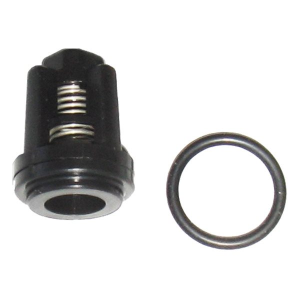 A valve and O-ring included in the ZX.0717 kit.