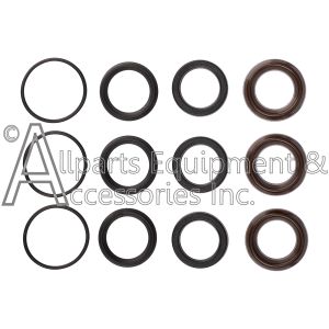 ZX0409 Comet pump seal packing kit