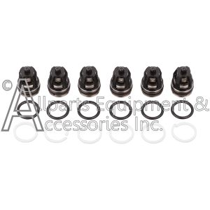 ZX0824 valve and o-ring kit