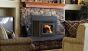 WOOD BURNING STOVE INSERT