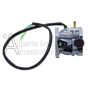 0069078 ASSEMBLY CARBURETOR RATO R420