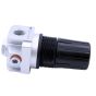 019-0270 Regulator Hi Flow with 1/4 FPT P1 Port and 1/8 Gauge Ports
