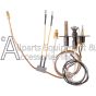 0199704 pilot assembly