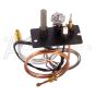 The W010-0799 viewed from above, showing the 3-way pilot hood, the thermocouple, and the thermopile.