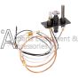 0.199.769 natural gas SIT Controls pilot assembly replacement