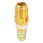 Side of 3/4"NPTx3/4"Flare check valve