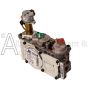 Electronic IPI Natural Gas valve by SIT Group