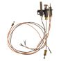 Pilot Assembly LPG 3 Directional Flame for FMI Fireplaces