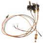 Pilot Assembly LPG 3 Directional Flame for FMI Fireplaces