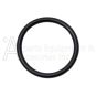 1210.0333.00 O-RING 1.78 X 23.52MM COMET ZWD-K PUMP