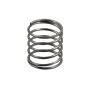 Valve spring
