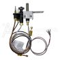 14381 Pilot Assembly Natural Gas NG DVF30