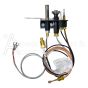14381 Pilot Assembly Natural Gas NG DVF30