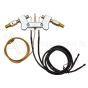 161139-02 Pilot ODS Dual Fuel Assembly