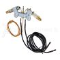 161139-01 Pilot ODS Dual Fuel Assembly NG and LP