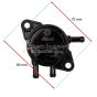 Small engine fuel pump