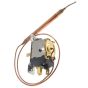 Thermostat Assembly