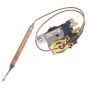Thermostat Assembly