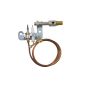 ODS PILOT ASSEMBLY LPG