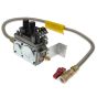 VALVE ASSY.NAT.MILVLT.DVF36PNL
