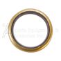 265-111 oil seal for twin cylinder oil lubricated pump