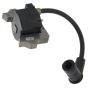Ignition Coil Assembly