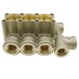 Manifold head