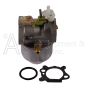 Fuel inlet on 499059 B&S Carburetor