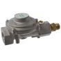 PRESSURE REGULATOR, NG, RTZ-11/20B1