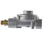 PRESSURE REGULATOR, NG, RTZ-11/20B1